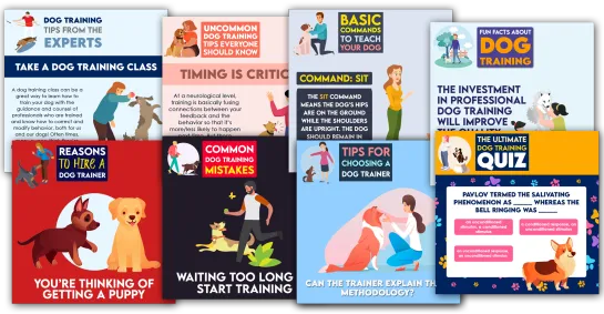 Social Media Management 25 Dog Training Social Media Posts From One More Star Media