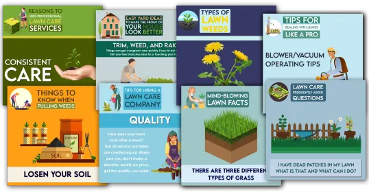 Social Media Management 6 Lawncare Social Media Posts From One More Star Media