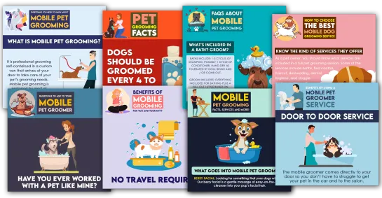 Social Media Management 27 Pet Grooming-Mobile Social Media Posts From One More Star Media