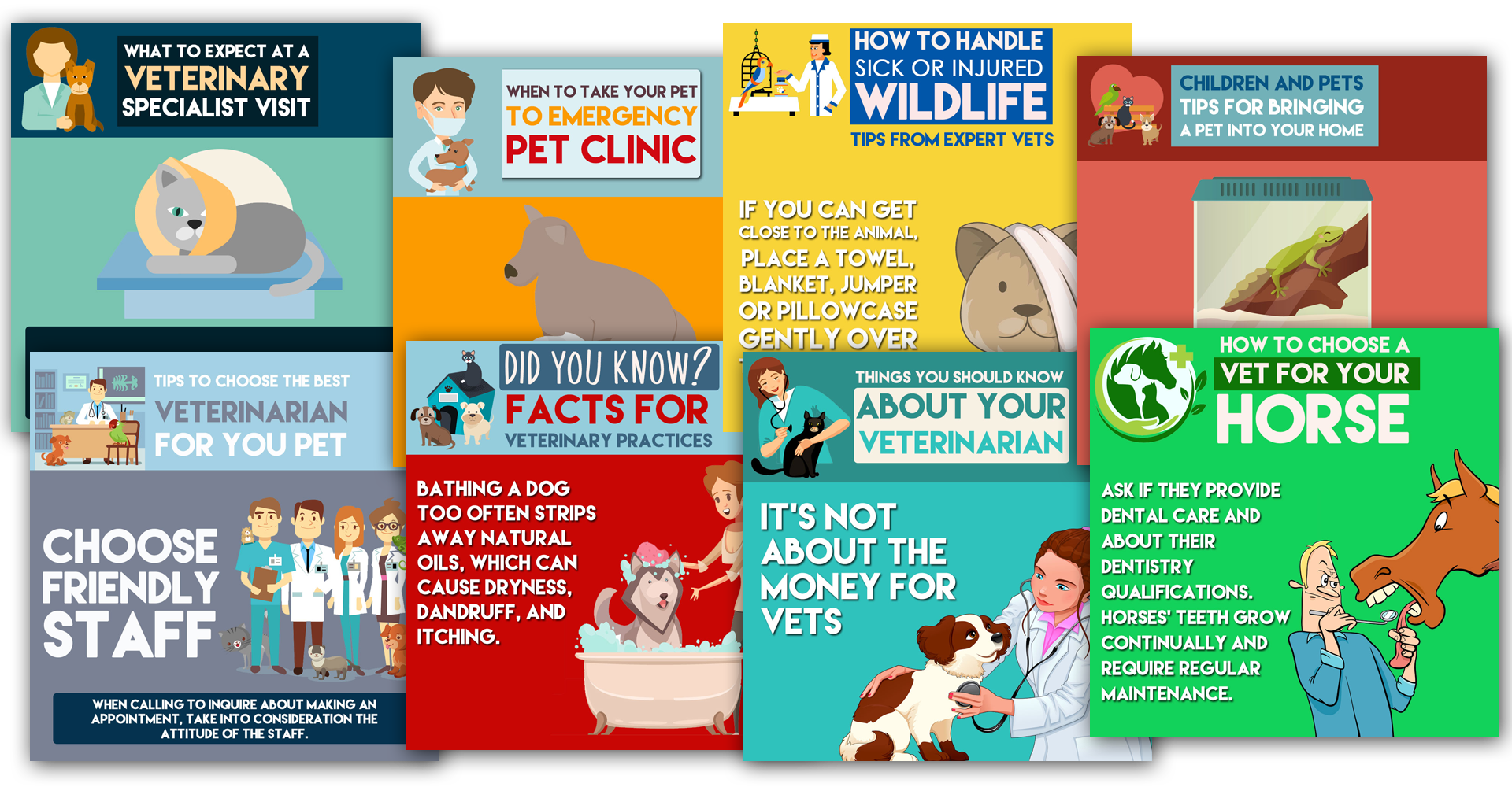 Social Media Management 74 Veterinarians Social Media Management | One More Star Media Info@Onemorestarmedia.com
